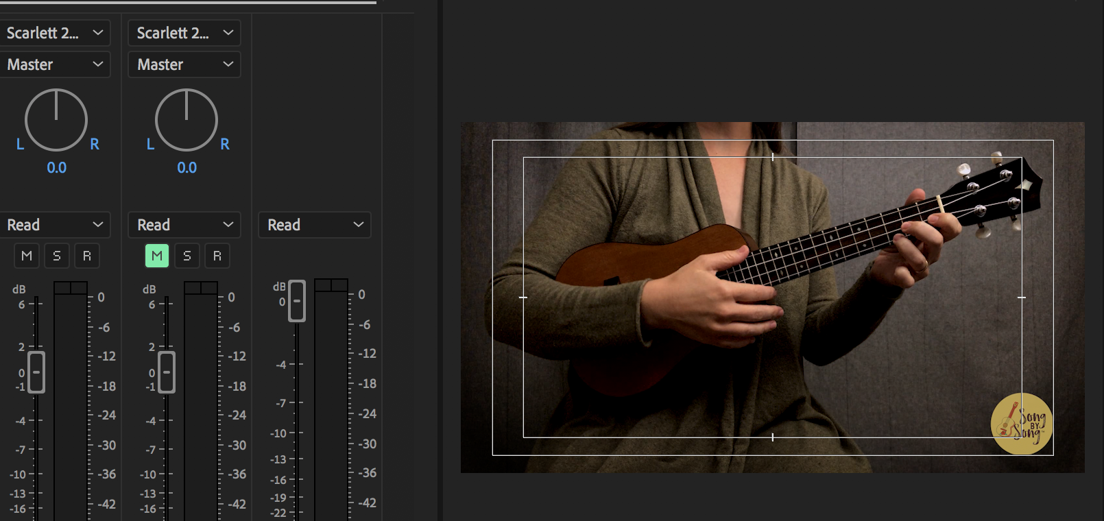 Screen shot of Adobe Premiere and a young woman playing ukulele in the video monitor